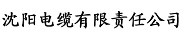 媳妇请上司来家吃饭电缆厂logo